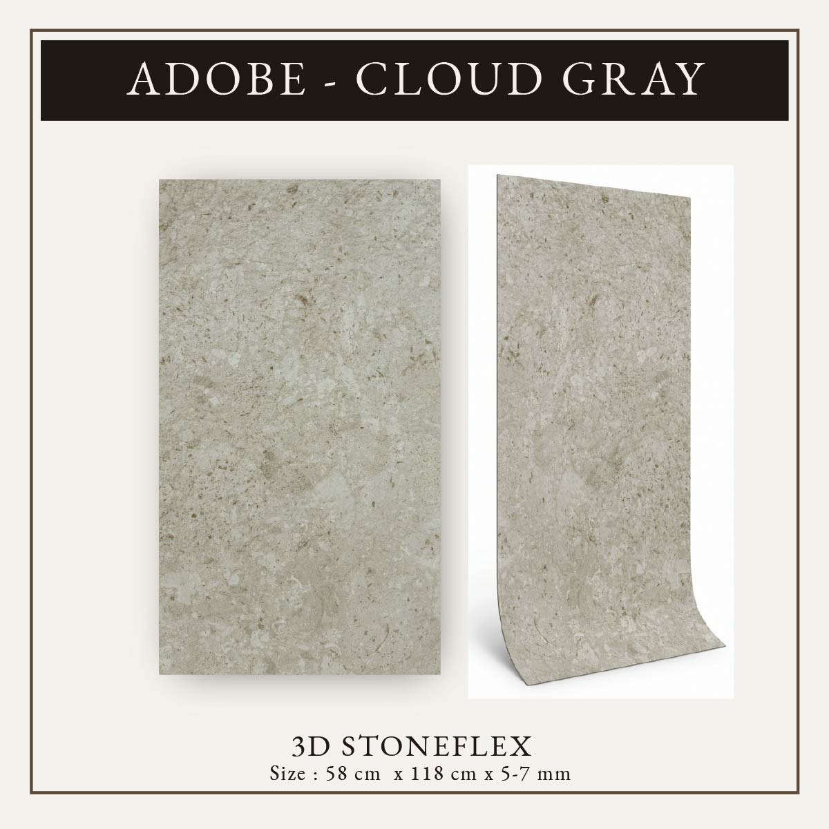 ADOBE CLOUD 3D 